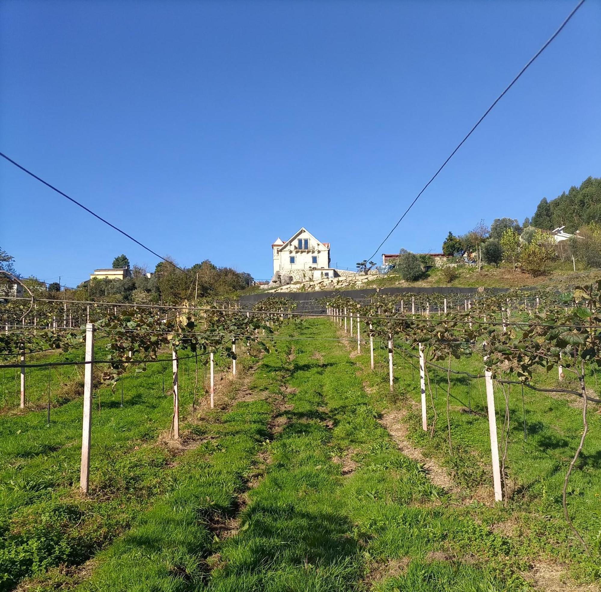 Villa Quinta Do Bairro à Vieira do Minho Extérieur photo