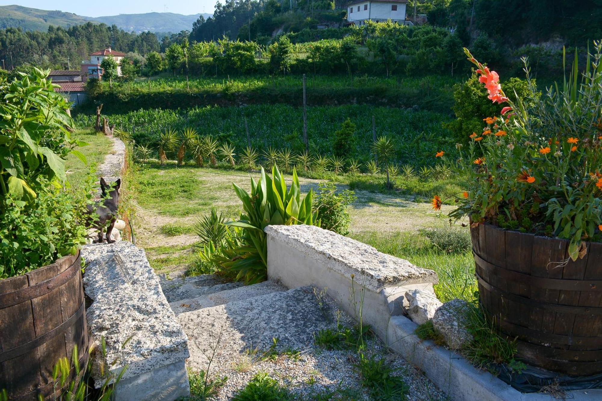 Villa Quinta Do Bairro à Vieira do Minho Extérieur photo